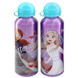 Παγούρι μεταλλικό frozen 2 21×6,5cm   500ml Disney 4016-8490M