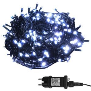 100 led λευκά εξωτερικά πρόγραμμα l. V.  Xmasfest 1132589