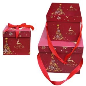 Κουτιά χάρτινα merry chrismas σετ=3 τεμ 10x10x10cm 15x15x15cm 20x20x20cm Xmasfest 1133755